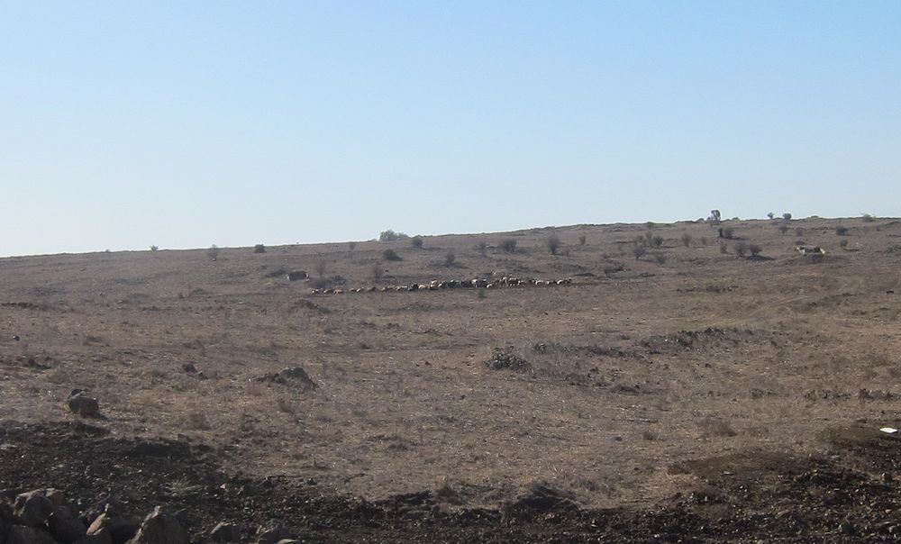 Israel - Golan
