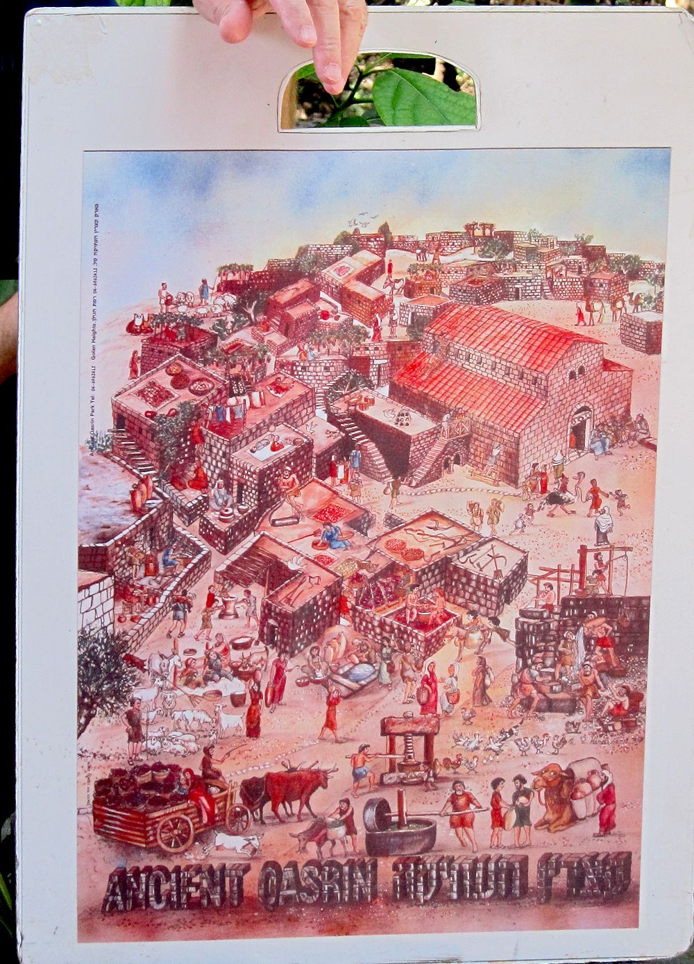 Israel - Katzrin