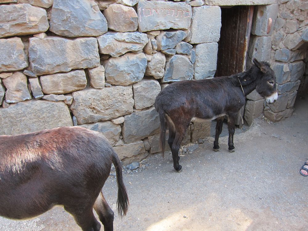 Israel - Katzrin