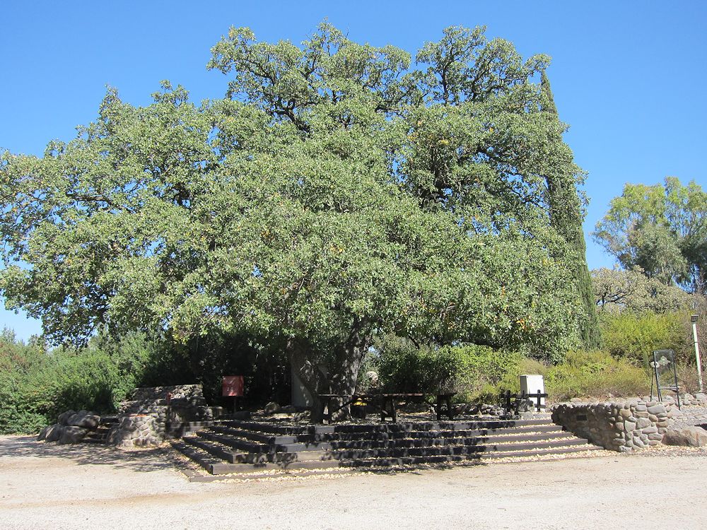 Israel - Katzrin