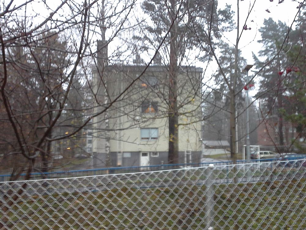 Kannelm�en ostari