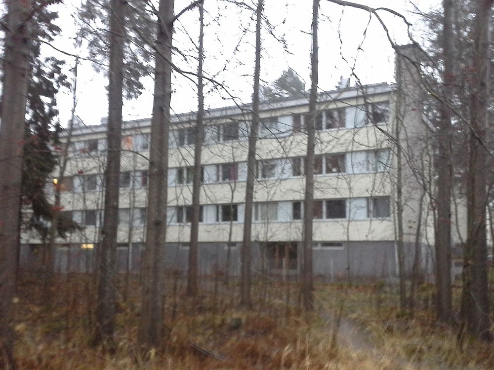 Kannelm�en ostari