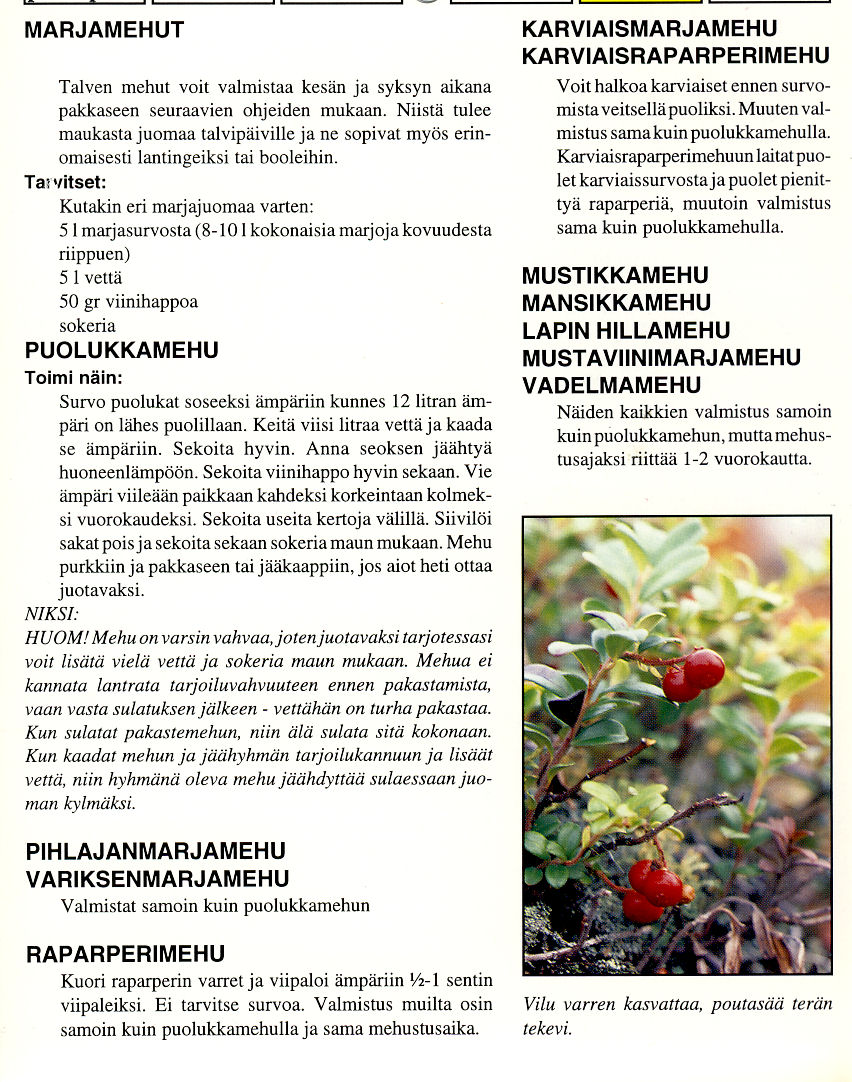 mehut viinihapolla