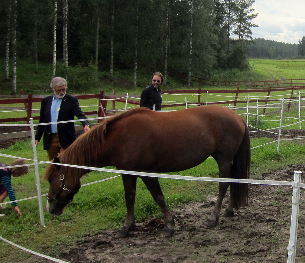 sukutapaaminen