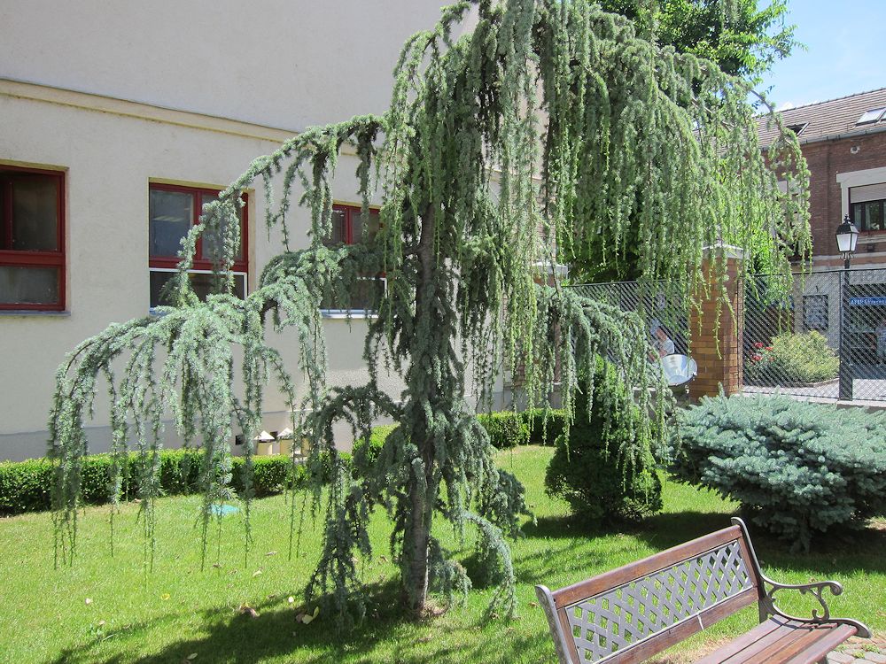 Vac-J�rvenp�� 30v