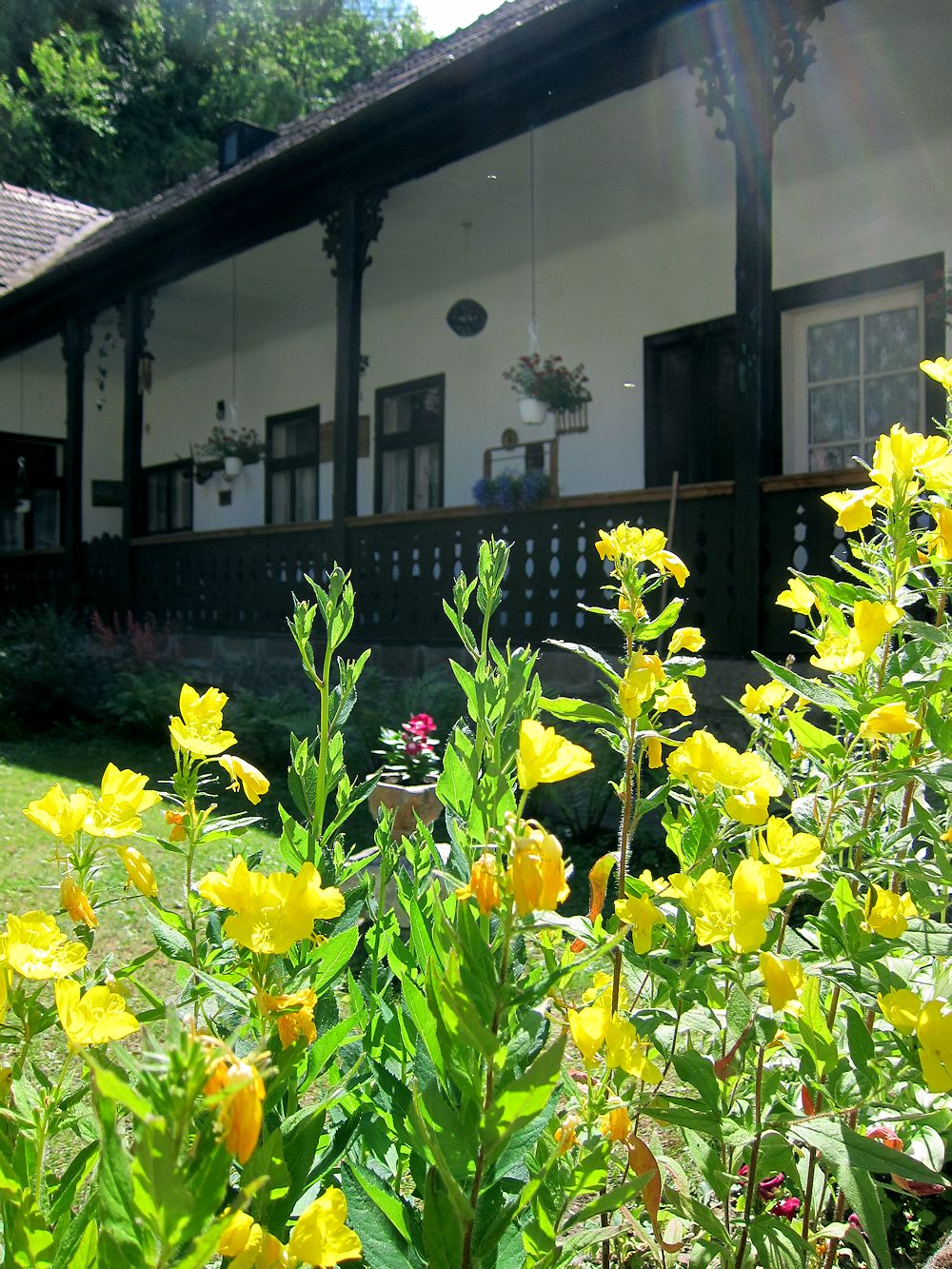 Vac-J�rvenp�� 30v